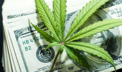 Wall Street Bank Shuts Down US Marijuana Stock Spree