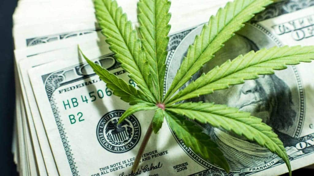 Wall Street Bank Shuts Down US Marijuana Stock Spree