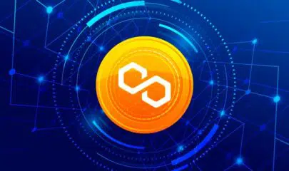 Advantage and Disadvantages of MATIC Coin Investment