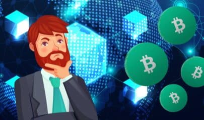 Does Bitcoin Cash have a future?