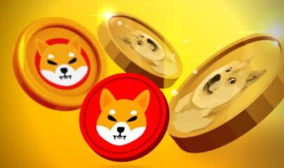 Will Shiba Inu Ever Come Close to Dogecoin